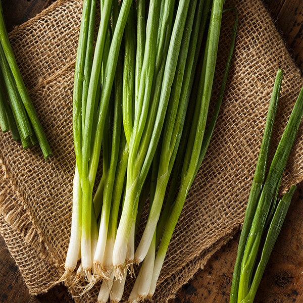 West Coast Seeds Scallion Seeds